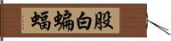 股白蝙蝠 Hand Scroll