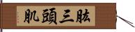 肱三頭肌 Hand Scroll