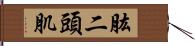 肱二頭肌 Hand Scroll