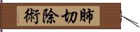 肺切除術 Hand Scroll