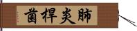 肺炎桿菌 Hand Scroll