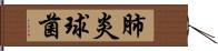 肺炎球菌 Hand Scroll