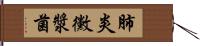 肺炎黴漿菌 Hand Scroll
