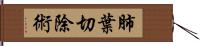 肺葉切除術 Hand Scroll
