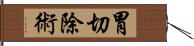 胃切除術 Hand Scroll