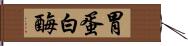 胃蛋白酶 Hand Scroll