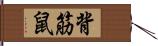 背筋鼠 Hand Scroll