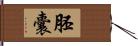胚囊 Hand Scroll