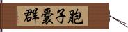 胞子嚢群 Hand Scroll