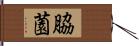 脇薗 Hand Scroll