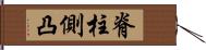 脊柱側凸 Hand Scroll