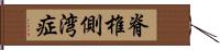 脊椎側湾症 Hand Scroll