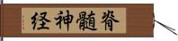 脊髄神経 Hand Scroll