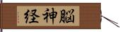 脳神経 Hand Scroll