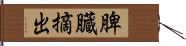 脾臓摘出 Hand Scroll