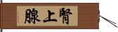 腎上腺 Hand Scroll