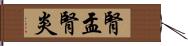 腎盂腎炎 Hand Scroll