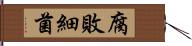 腐敗細菌 Hand Scroll