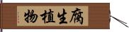 腐生植物 Hand Scroll