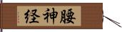 腰神経 Hand Scroll