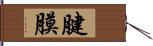 腱膜 Hand Scroll