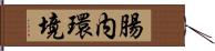 腸内環境 Hand Scroll