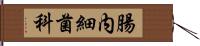 腸内細菌科 Hand Scroll