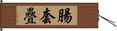 腸套疊 Hand Scroll