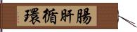 腸肝循環 Hand Scroll