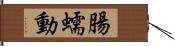 腸蠕動 Hand Scroll