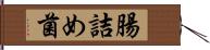 腸詰め菌 Hand Scroll