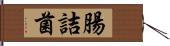 腸詰菌 Hand Scroll
