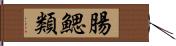 腸鰓類 Hand Scroll