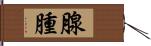 腺腫 Hand Scroll
