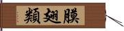 膜翅類 Hand Scroll