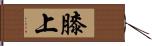 膝上 Hand Scroll