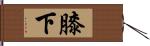 膝下 Hand Scroll