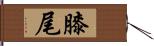 膝尾 Hand Scroll