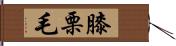 膝栗毛 Hand Scroll