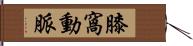 膝窩動脈 Hand Scroll