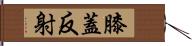 膝蓋反射 Hand Scroll