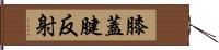 膝蓋腱反射 Hand Scroll