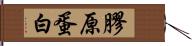 膠原蛋白 Hand Scroll