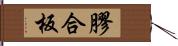 膠合板 Hand Scroll