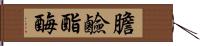 膽鹼酯酶 Hand Scroll