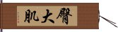 臀大肌 Hand Scroll