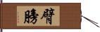 臂膀 Hand Scroll