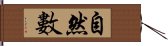 自然數 Hand Scroll