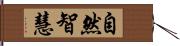 自然智慧 Hand Scroll