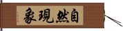 自然現象 Hand Scroll